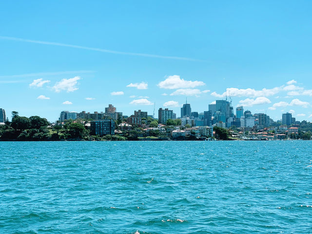 Sydney Harbour Cruise: A Scenic Voyage Across the Water