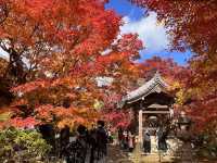 The Everlasting Light of Wisdom in Nirvana — The Jojakko-ji Temple in Arashiyama 