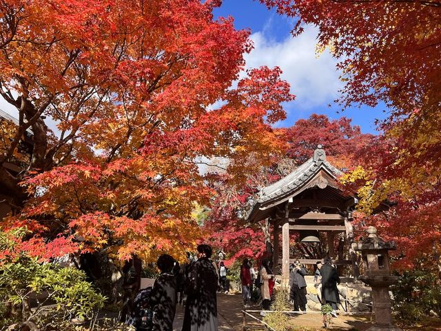The Everlasting Light of Wisdom in Nirvana — The Jojakko-ji Temple in Arashiyama 