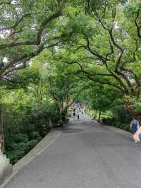 A must-visit place in Hangzhou is West Lake!