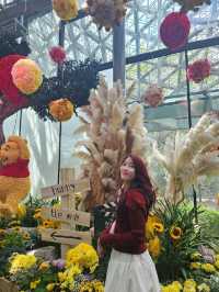 ชมดอกไม้สุดอลังการที่ The Floral Fantasy 🌸
