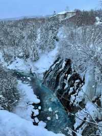 2 Days in Sapporo: A Winter Wonderland Adventure
