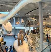 สุดยอดพิพิธภัณฑ์ Shanghai Natural History Museum