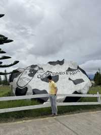 Quick Visit to Kundasang and Attractions along the Route