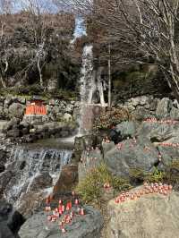 大阪勝尾寺半日遊，值得一去