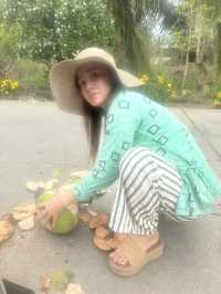 路邊的椰子，隨便砍
