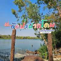 ชมบารมีองค์พญานาคราช ที่วัดป่าปากโดม