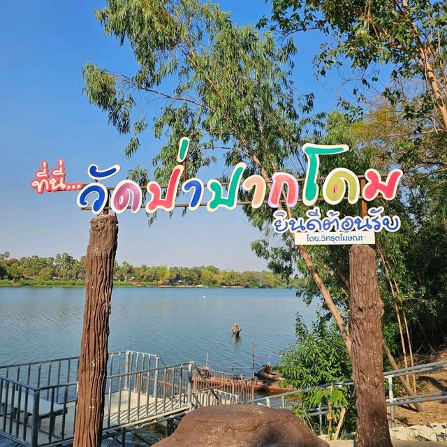 ชมบารมีองค์พญานาคราช ที่วัดป่าปากโดม