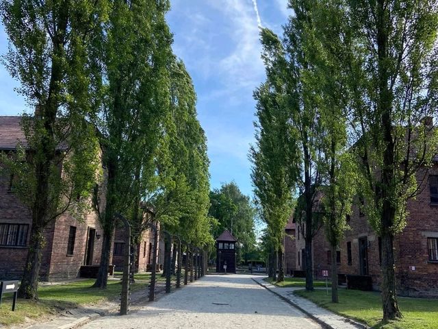 พิพิธภัณฑ์ Auschwitz 