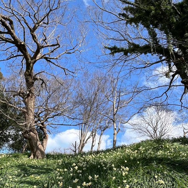 Fukuoka Castle Ruins