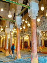 Magical Tunisia