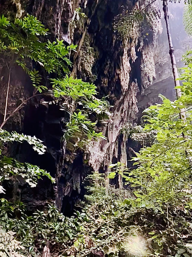 Easily Explored Caves by in Mulu National Park