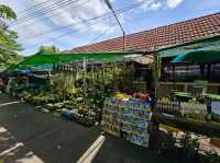 เดินเล่นชิวๆที่ตลาดบางน้ำผึ้ง