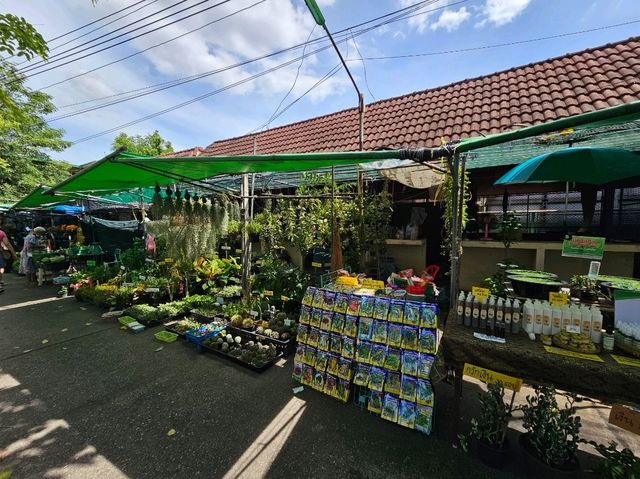 เดินเล่นชิวๆที่ตลาดบางน้ำผึ้ง