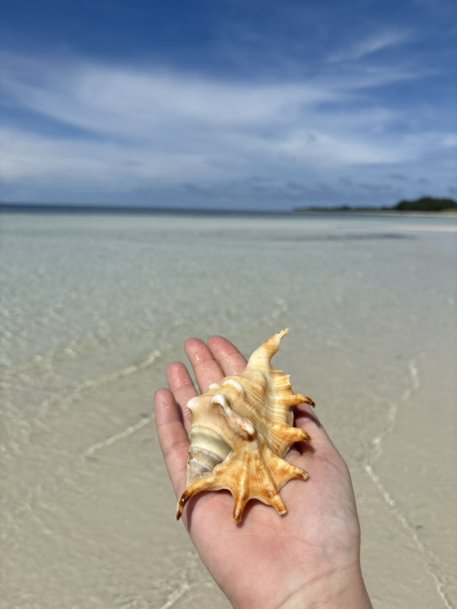 A White Sand Escape at Walakiri Beach—With Beautiful Treasures To Look At! 🏖️🐚