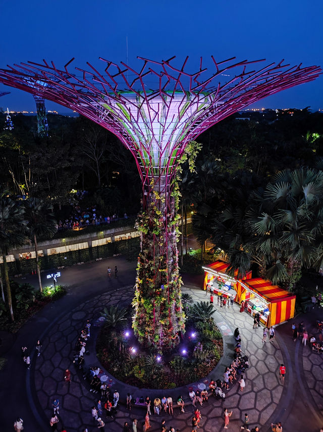 Singapore: Discovering the Best of the Lion City