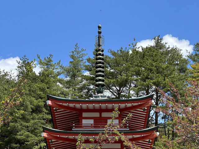 The Ultimate Mt. Fuji View: Arakurayama Sengen Park