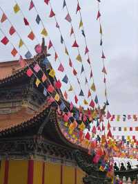 斗門金臺寺~值得一去的地方又可以居高臨下看湖景