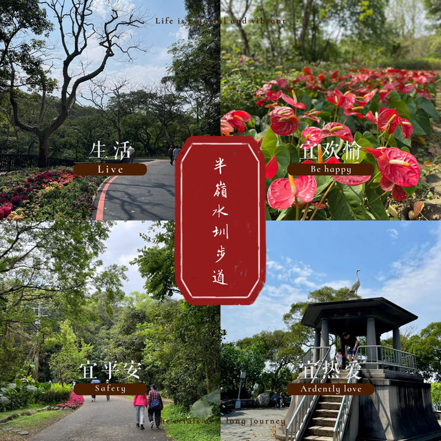 半嶺水圳步道🎋綠野仙蹤