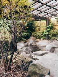 🍁由布院♨️