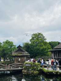 🌟 **富士山之旅：與日本聖山的完美邂逅** 🌟