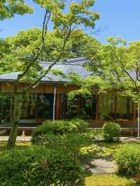 A Tranquil Escape to Ohori Park Japanese Garden