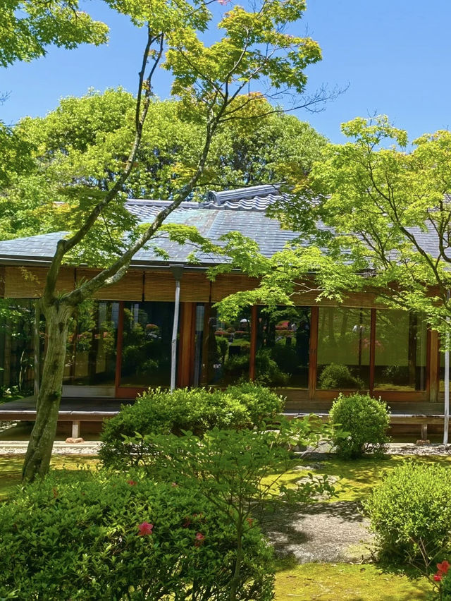 A Tranquil Escape to Ohori Park Japanese Garden