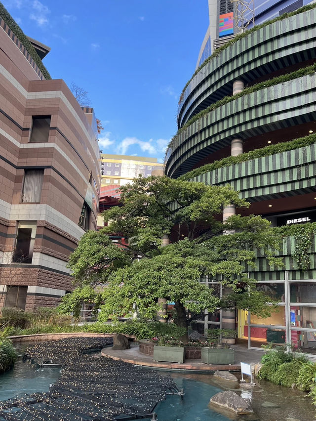 A Lively Stroll Through Canal City Hakata