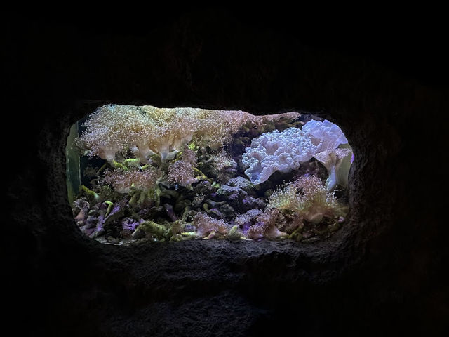登別水族館🤍【登別マリンパークニクス】
