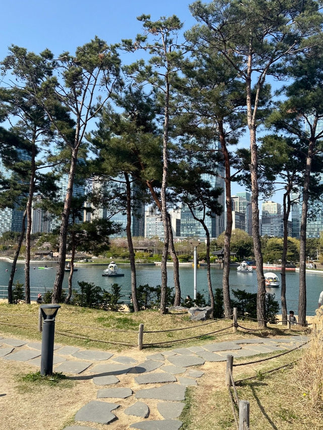 부모님과 데이트하세요💙🤎