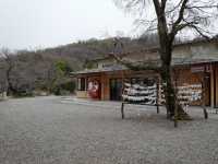 縁起だるまの少林山🤍【少林山 達磨寺】