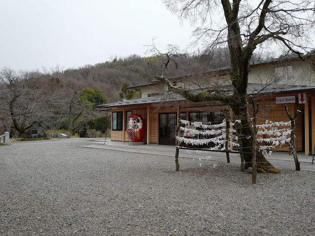 縁起だるまの少林山🤍【少林山 達磨寺】
