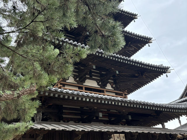 日本第一個被列入世界文化遺產地方