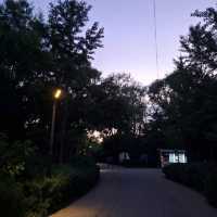 Sunset in Beiwu Park, Beijing