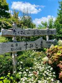 個人の方が作られた菖蒲園で、無料