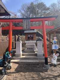  **眺望壯麗富士山！🚠搭天上山纜車，感受河口湖美景** 