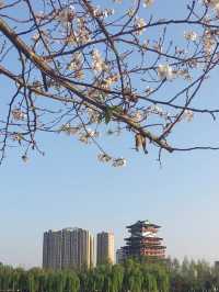 Trip to Tianmen, China 🌸 