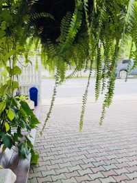 Milky Brown คาเฟ่โฮมมี่ในบ้านหลังเล็ก อบอุ่นทุกมุม