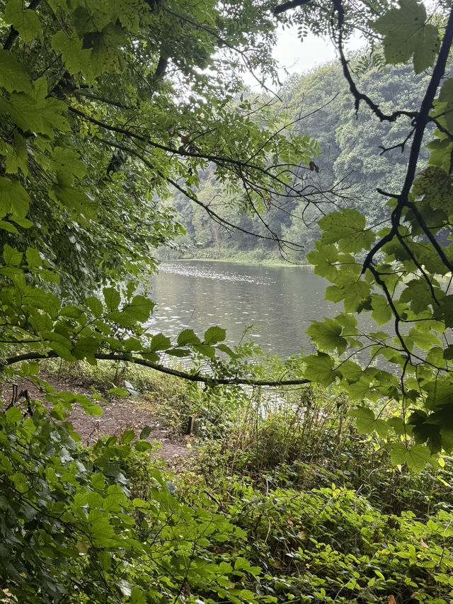 Spring Riverside Walk in Durham: A Stroll with a View