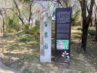 💕洛陽世外桃源✨隋唐城遺址植物園🌳