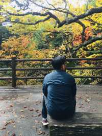 Ryuzu Falls น้ำตกสวยๆ กับใบไม้เปลี่ยนสี คือฟิน