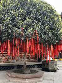 Daci Temple: Peaceful Oasis in Downtown Chengdu