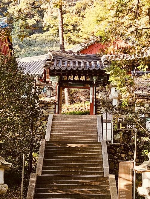 Spiritual Spring Rejuvenation in Jirisan 🧘‍♂️🌸 