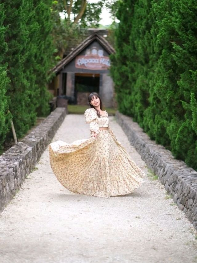 เที่ยวสวนผึ้งราชบุรี ที่ Alpacahill