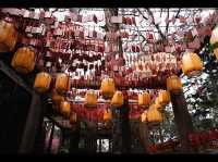 Discover Yunnan’s rich Culture and History 