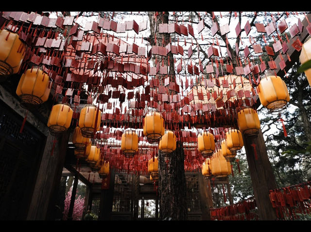 Discover Yunnan’s rich Culture and History 
