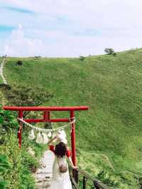 🌊 伊豆大室山 & 城ヶ崎海岸 日帰り旅行 🏝️