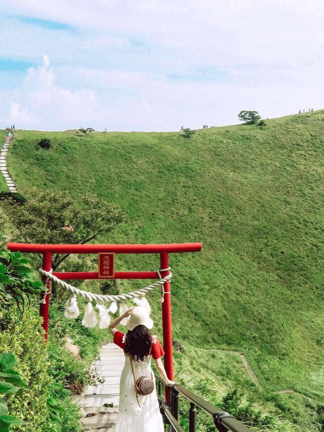 🌊 伊豆大室山 & 城ヶ崎海岸 日帰り旅行 🏝️