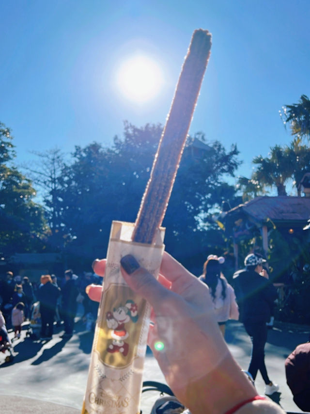 Tokyo Disneyland in December 🎄❄️