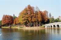 Urban Community at the Sihai Park in Shenzhen 